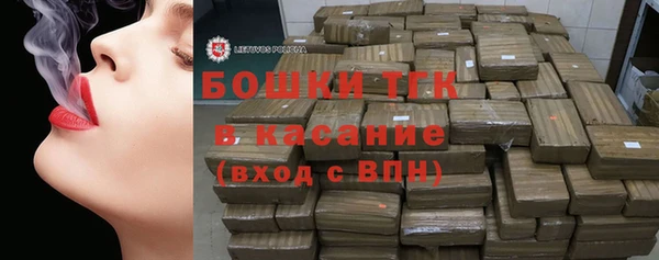 прущие грибы Зеленокумск