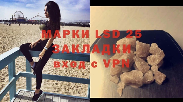 прущие грибы Зеленокумск