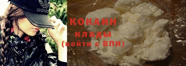 прущие грибы Зеленокумск