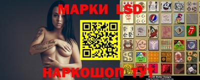 гашик Будённовск
