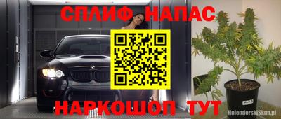 гашик Будённовск