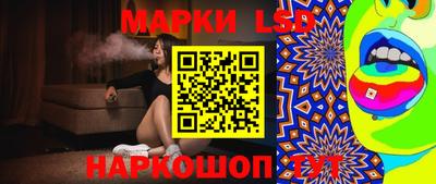 гашик Будённовск