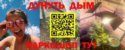 гашик Будённовск