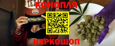 гашик Будённовск