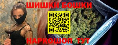 гашик Будённовск