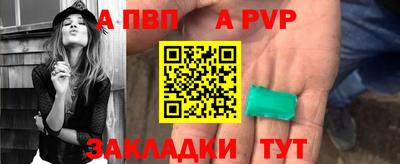 гашик Будённовск