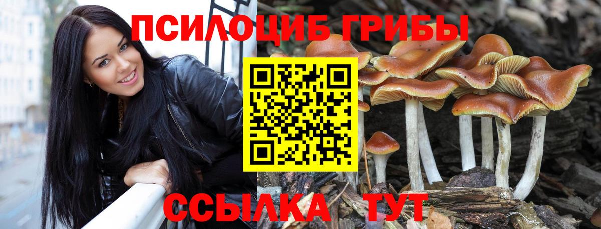Псилоцибиновые грибы MAGIC MUSHROOMS Электросталь