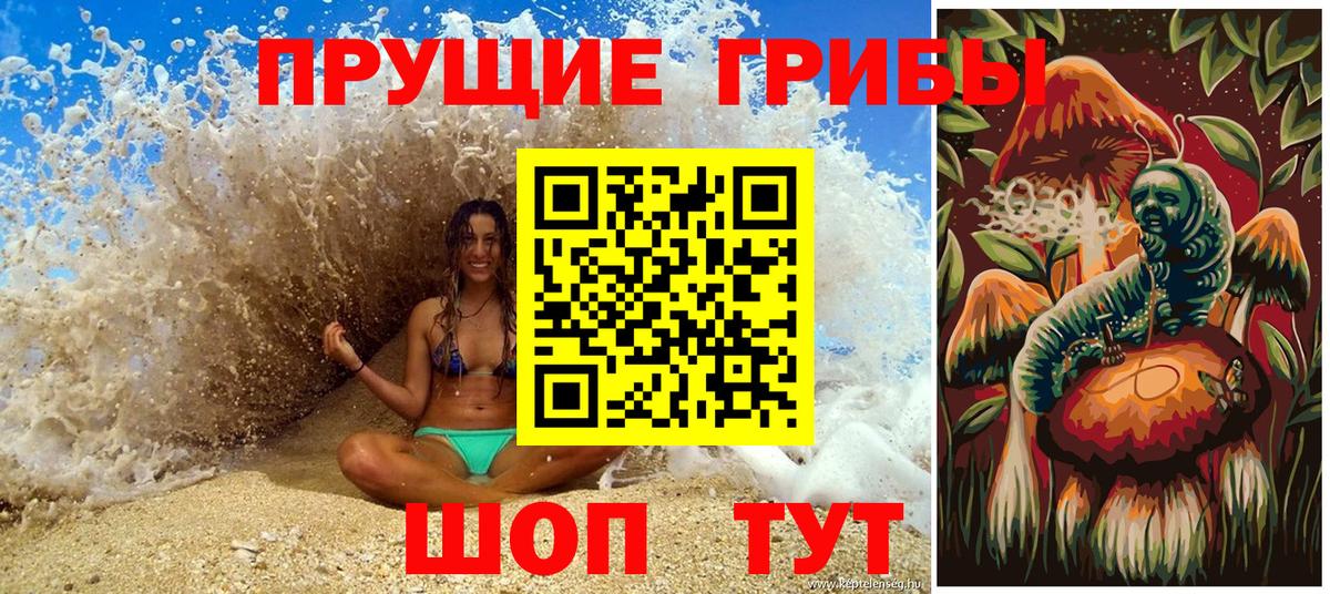 Галлюциногенные грибы Psilocybe  Электросталь 